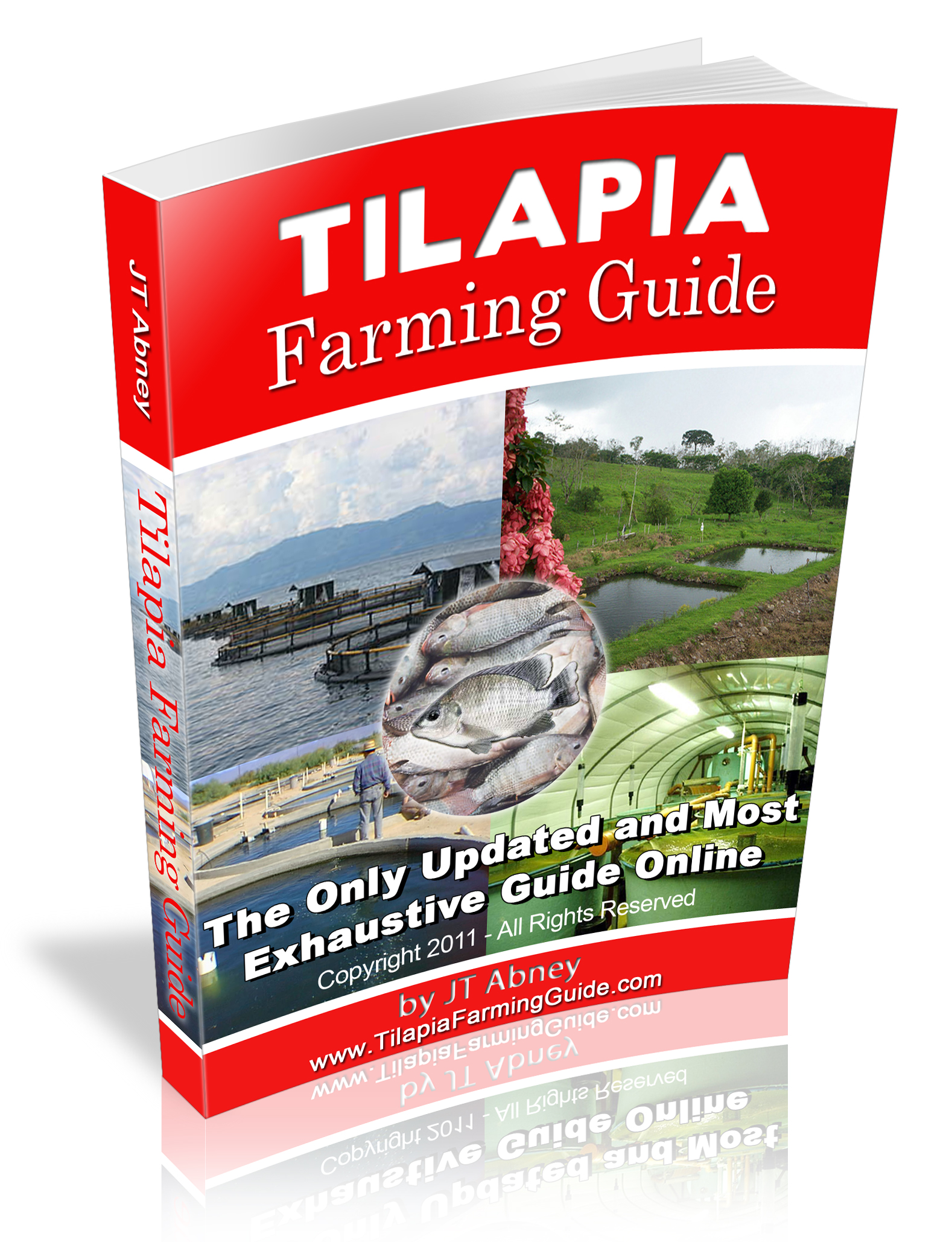 tilapia farming guide